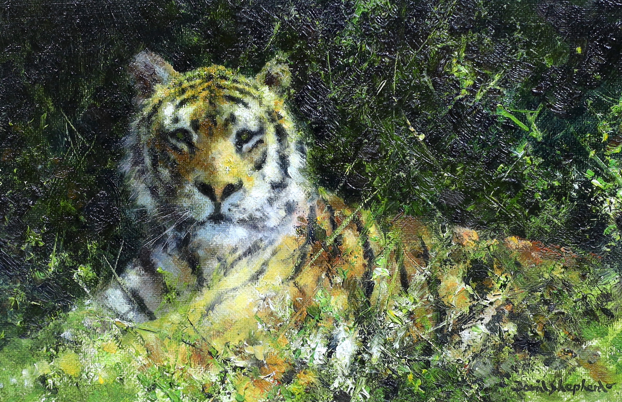 David Shepherd (British, 1931-2017), 'Tiger', oil on canvas, 16 x 24cm